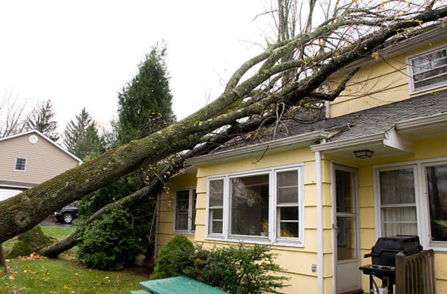 Effective Ways To Prevent Home Storm Damage